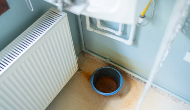 Best Ceiling water damage repair  in Stanwood, WA